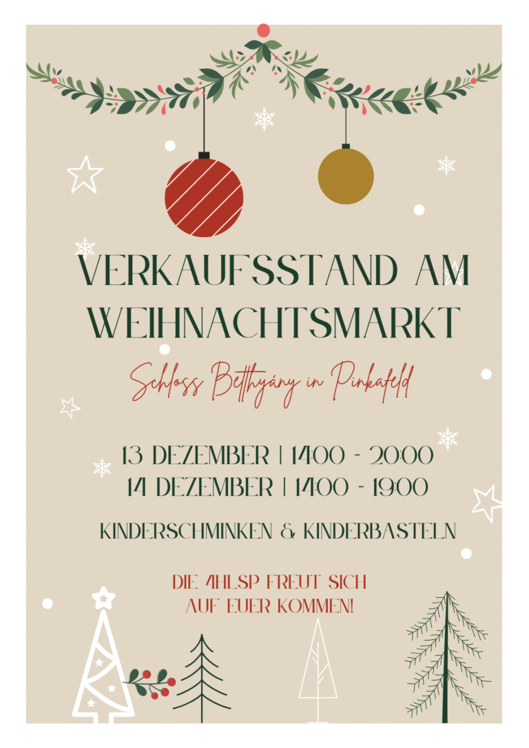 🎄4HLSP am Weihnachtsmarkt in Pinkafeld – Besuchen Sie uns!✨