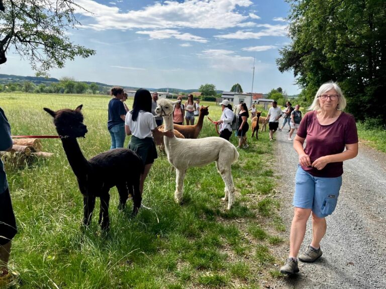 🦙Mit flauschigen Begleitern unterwegs – Abschlussfeier der 3bFb🌞🥾